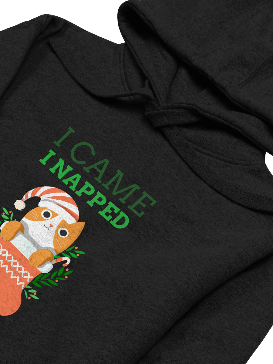 Santa Cat Christmas Hoodie product image (24)