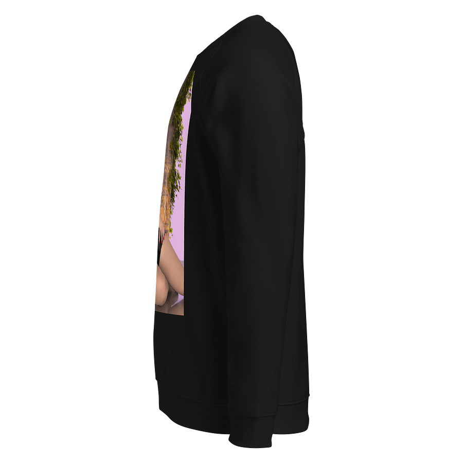 Mayra Organic Raglan Sweatshirt product image (6)