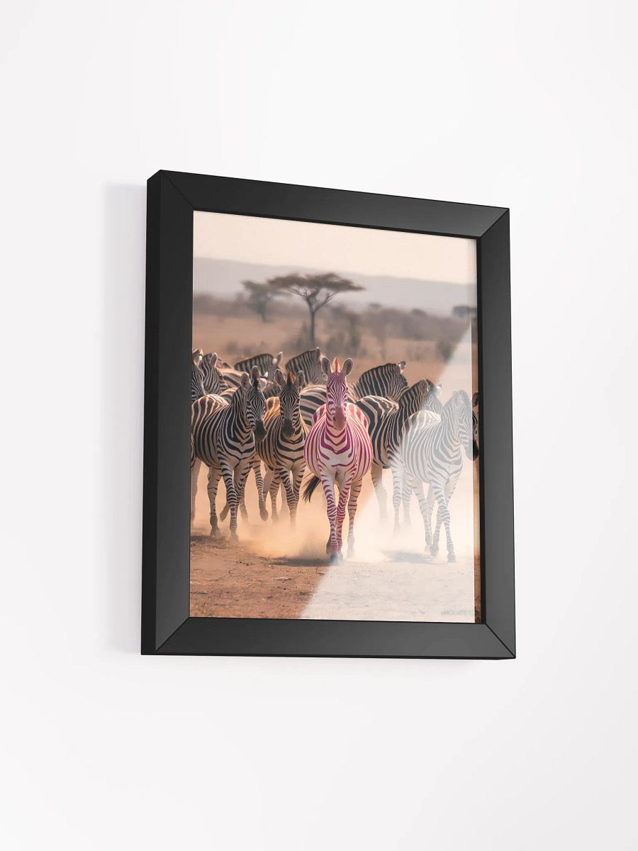 Stand Out Zebra Framed Poster product image (3)