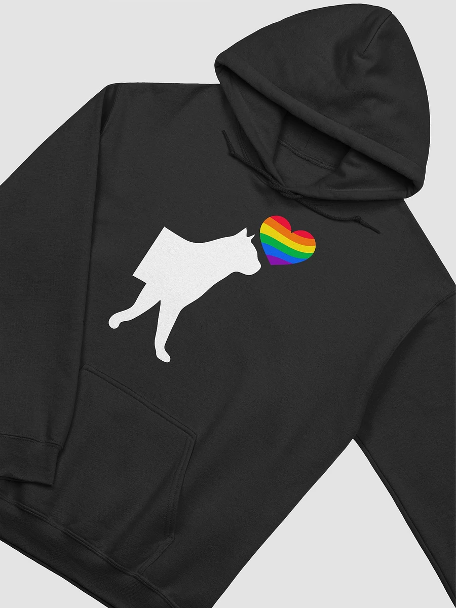 LGBTQ+ Hoodie Pussycat Rainbow Heart (dark) product image (5)