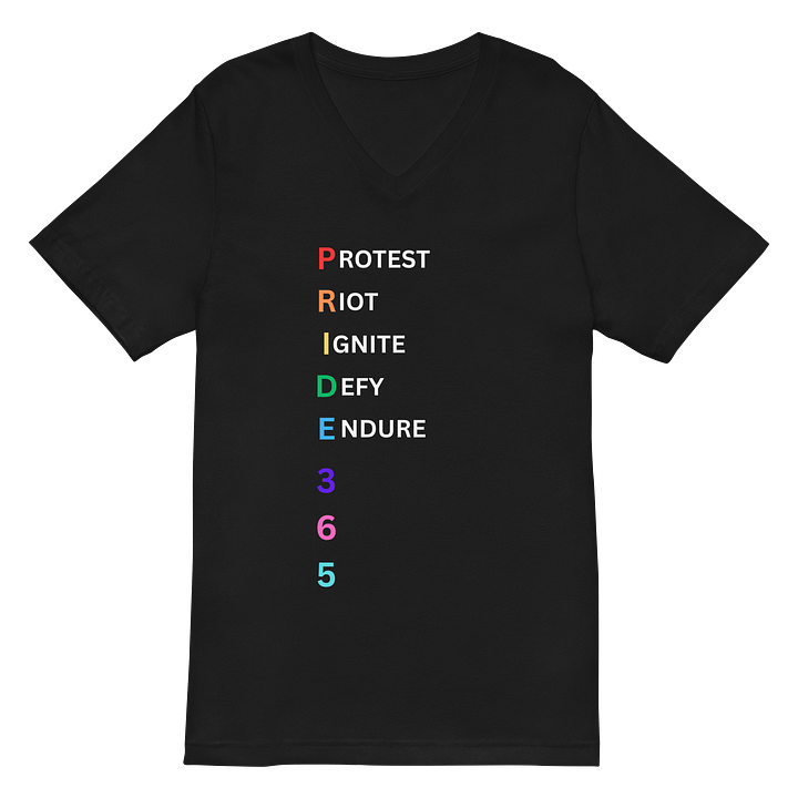 Pride 365 (protest, riot, ignite, endure) V-Neck Tee product image (2)