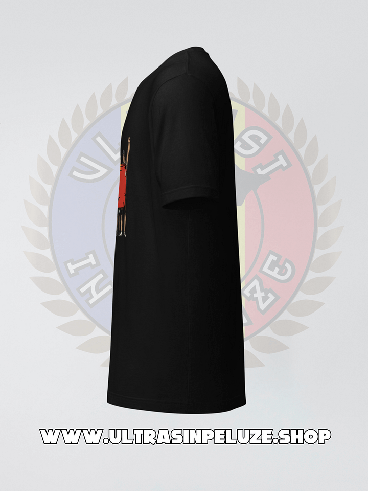 Tricou Tricolor product image (2)
