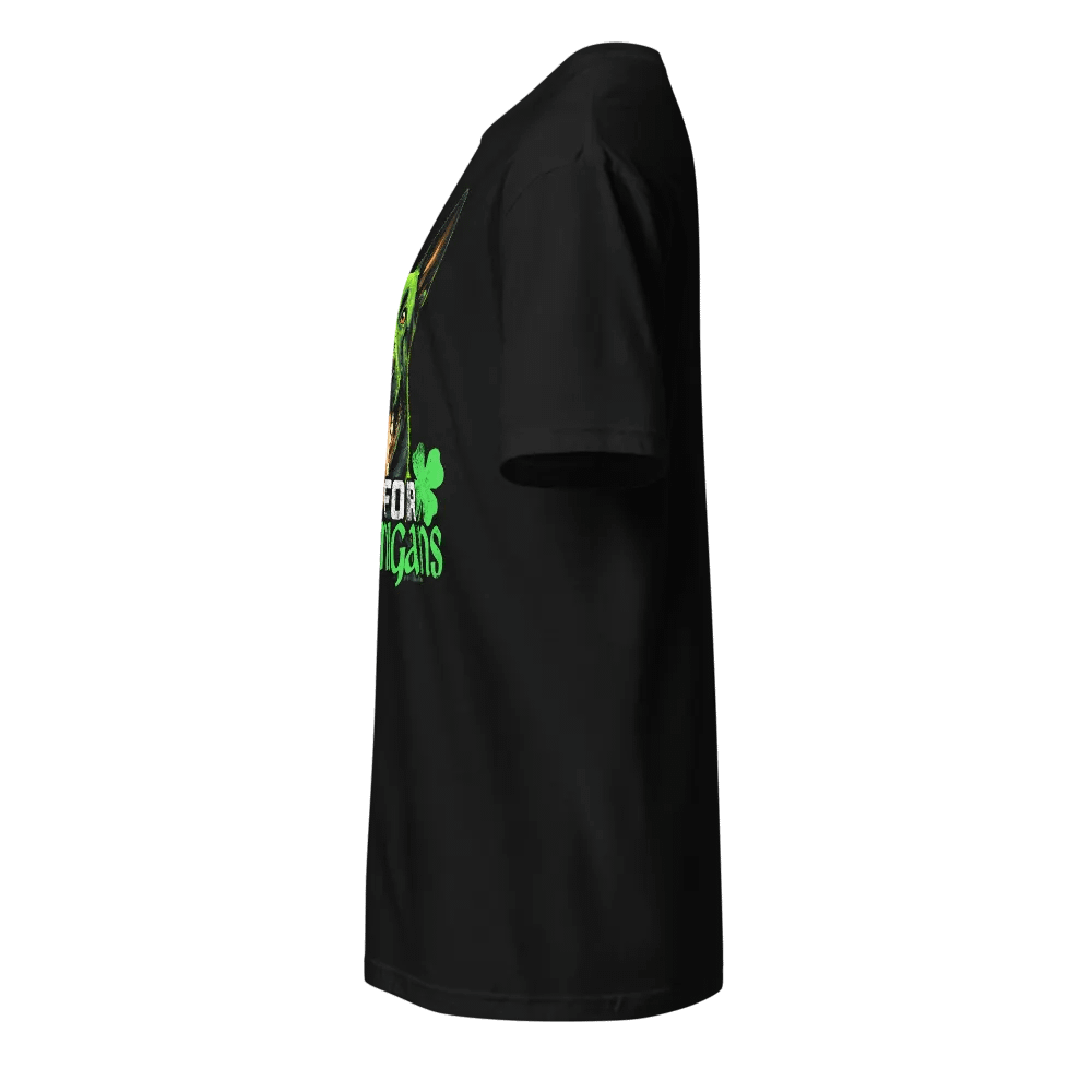 Down for Shenanigans: Belgian Malinois product image (7)