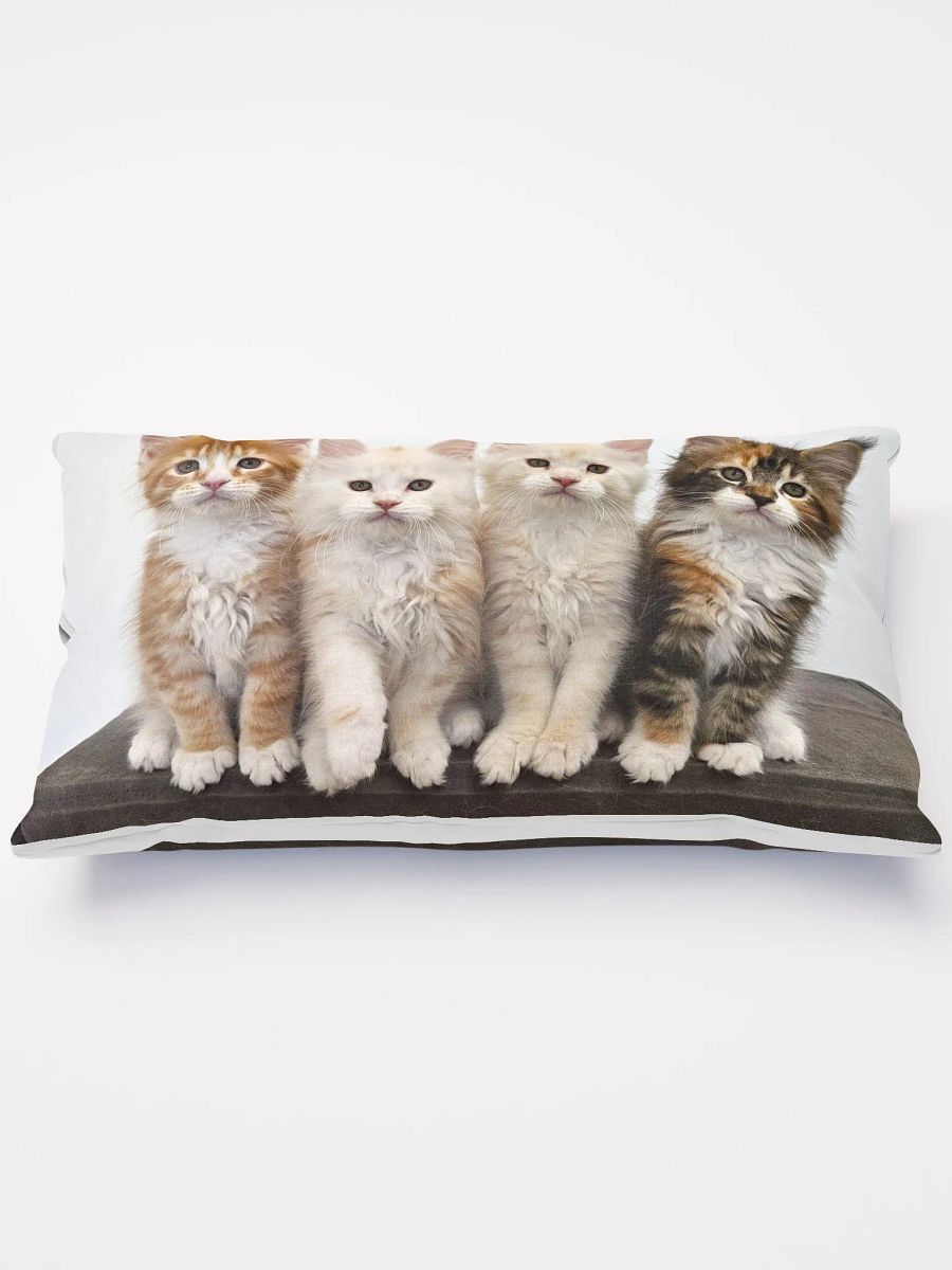 Ada's Kittens - Pillow product image (1)