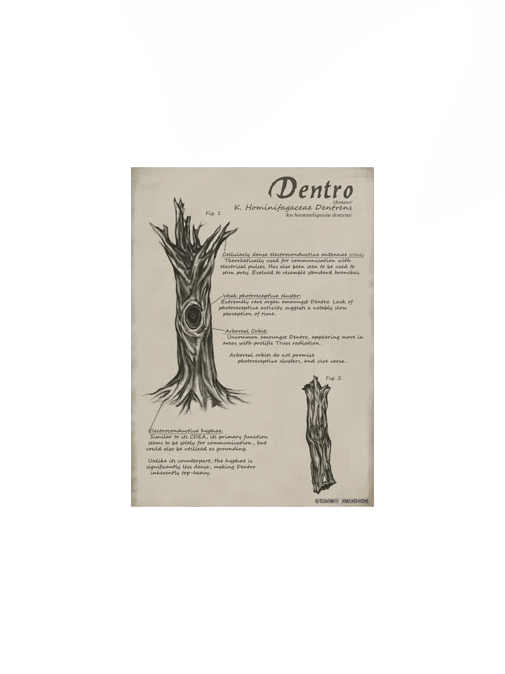 Dentro Poster product image (1)