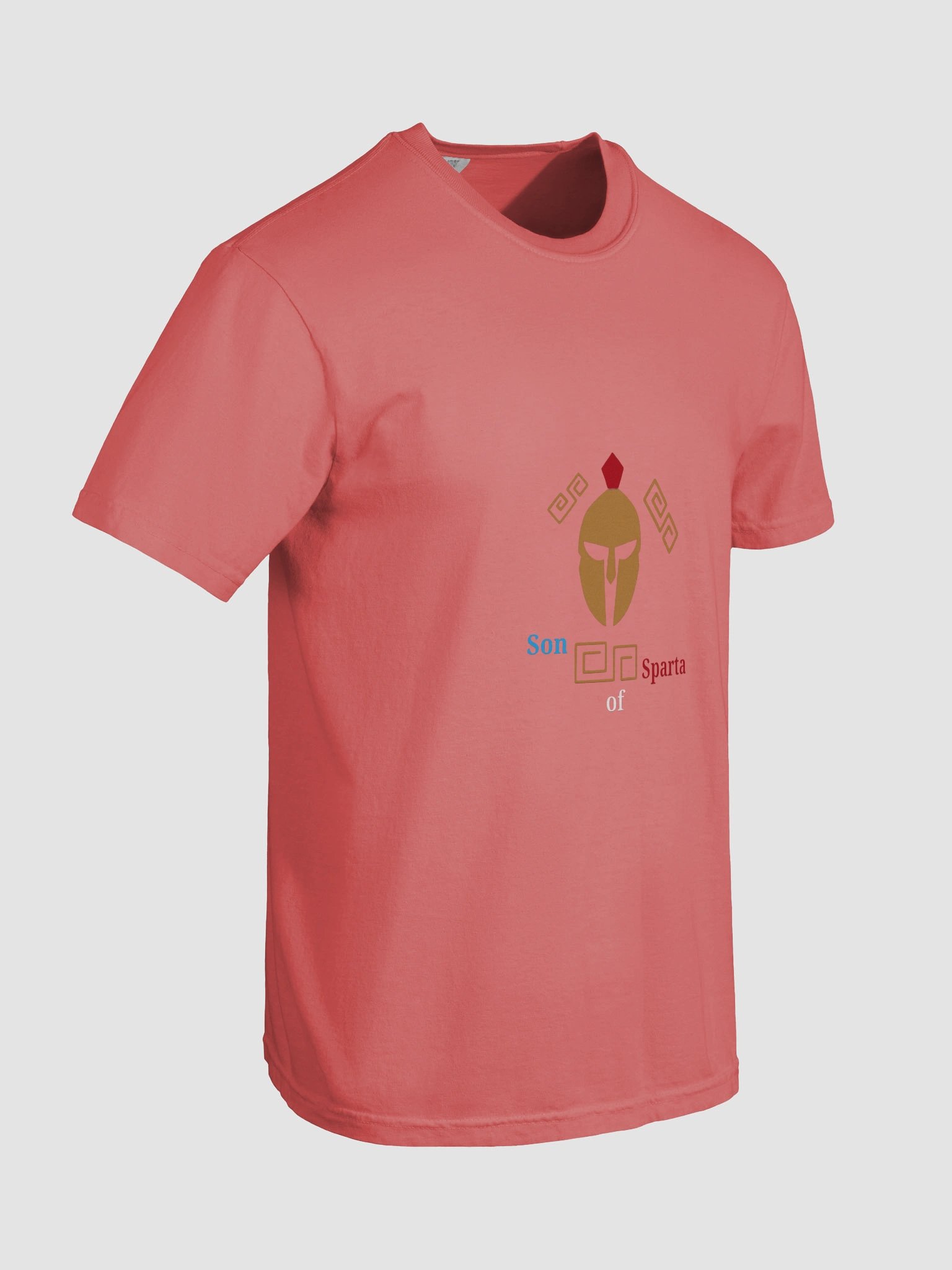 Spartan Legacy Graphic Tee product image (8)