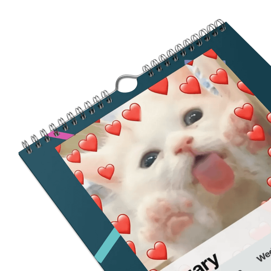 Wall Calendar (2024): Meme Cats product image (9)
