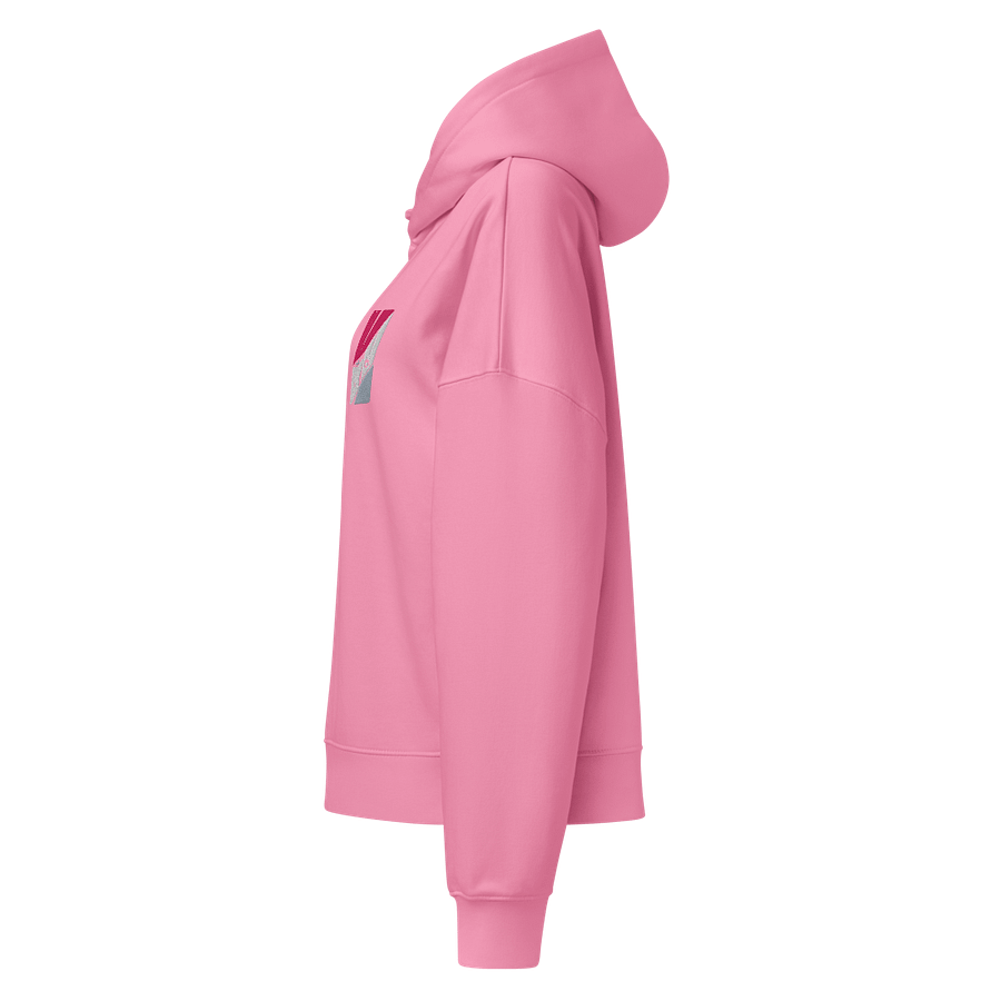 WANTED MEMORY®/NARVI FLOTIN® EMBROIDERY HOODIE product image (5)