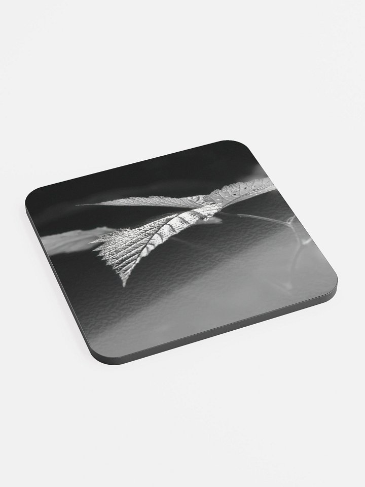 Lower Dungeness Trail Timber sun lighting Cork Coaster product image (2)