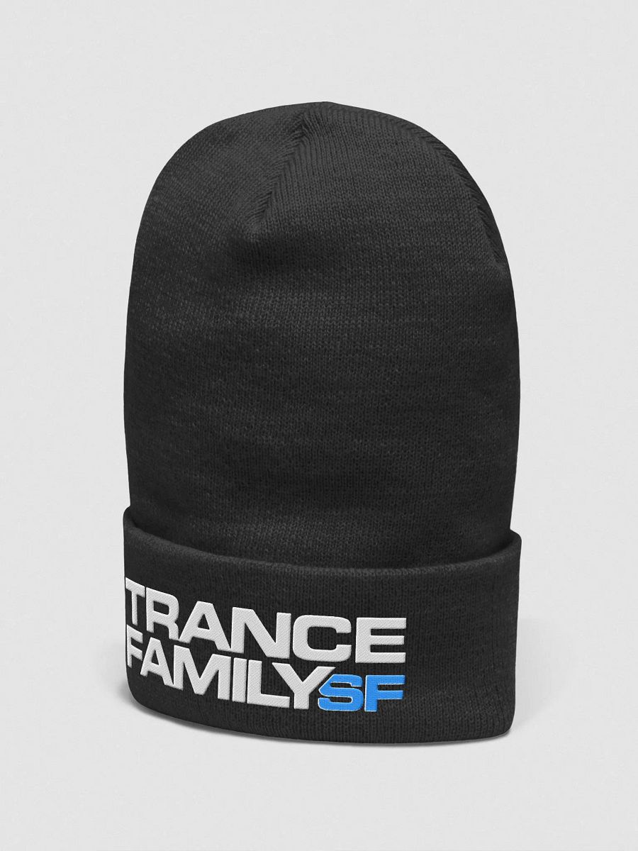 TranceFamilySF Premium Embroidered Unisex Beanie product image (11)