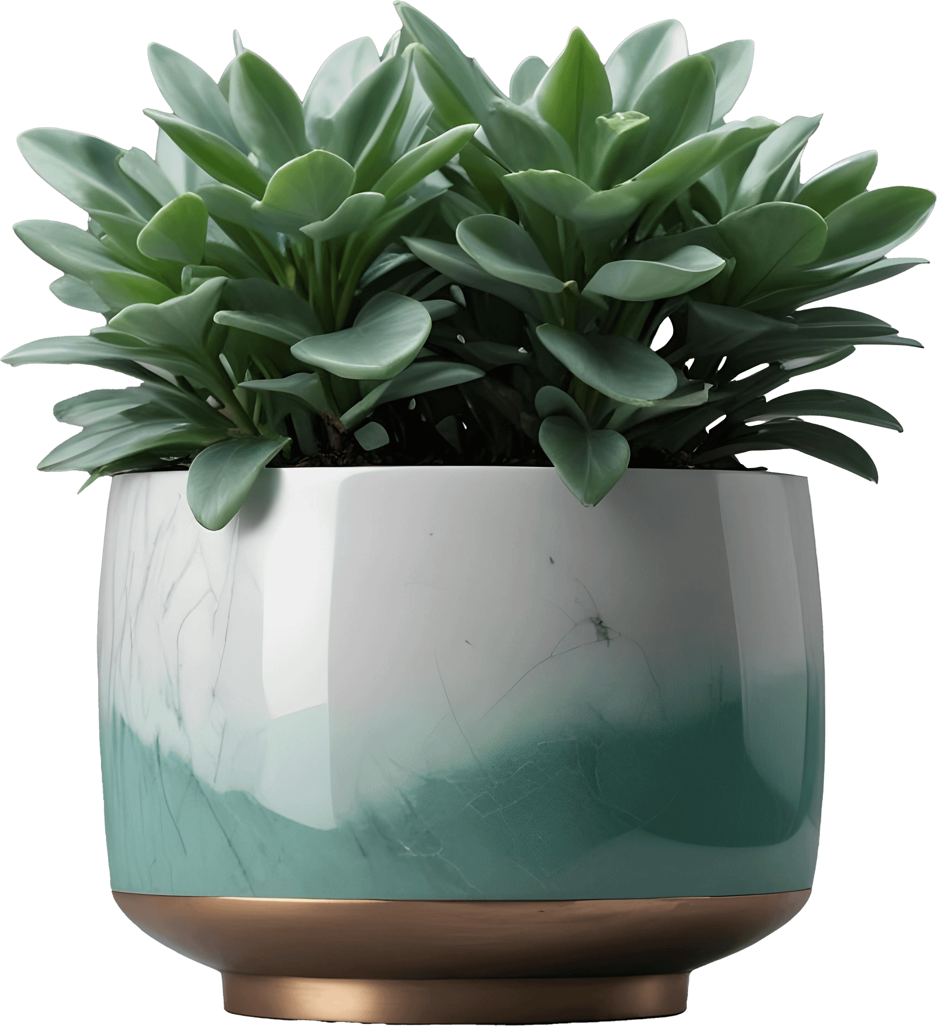 Jade Signature – Faceted Jade Planter PNG product image (1)