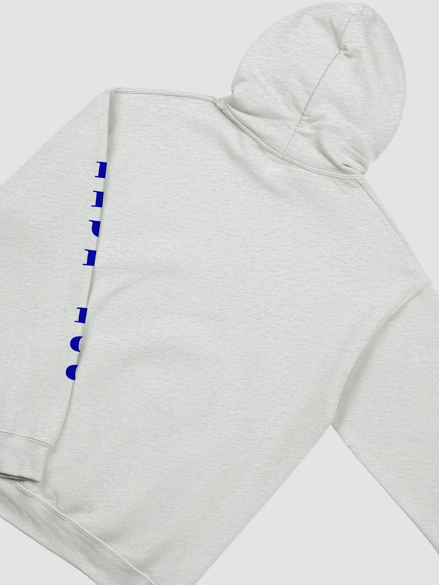 Blue Dog Single Logo Hoodie 2 product image (27)