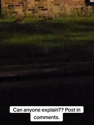 #animals #rabbits #oddbehavior 