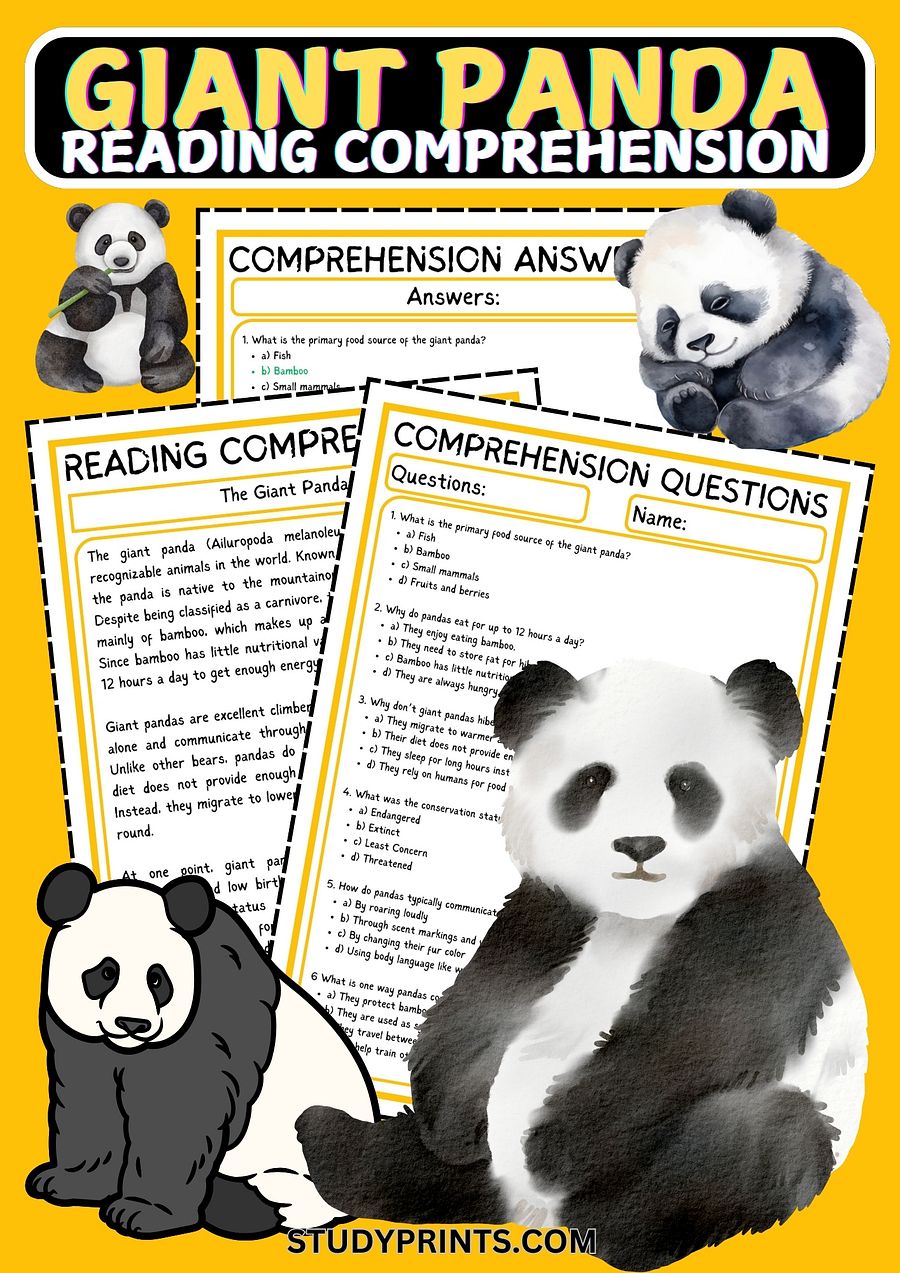 Giant Panda Reading Comprehension PDF product image (1)