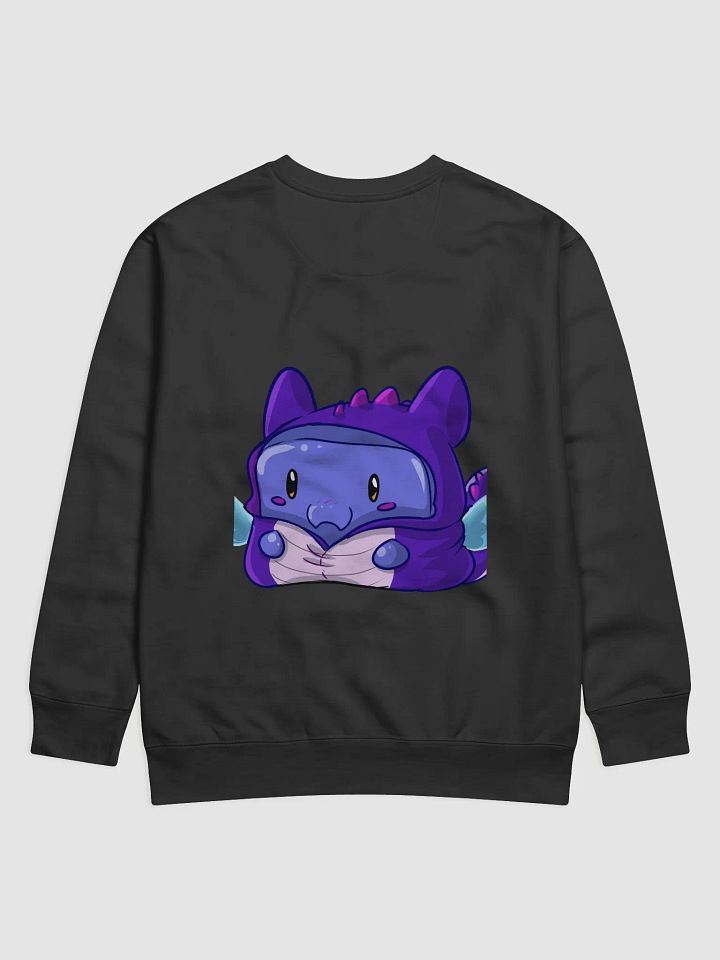 Bigsquish Birthday Jumper 2024 product image (2)