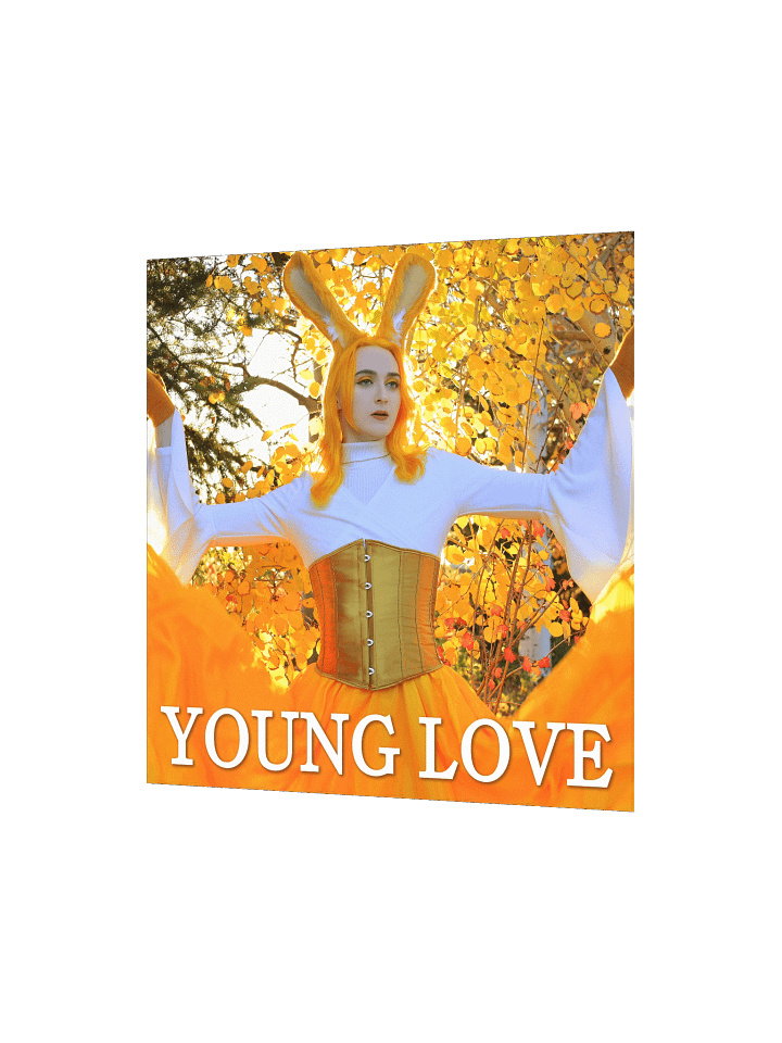 Young Love Poster [1 of 4] product image (10)