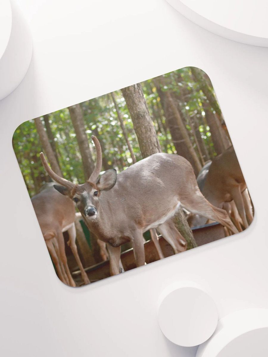Deer Mouse Pad product image (7)