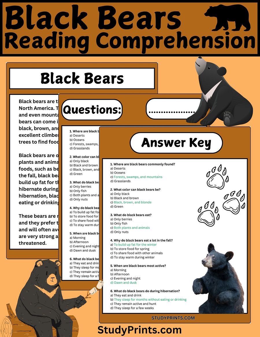 Black Bear Reading Comprehension Passage with 6 Questions product image (1)