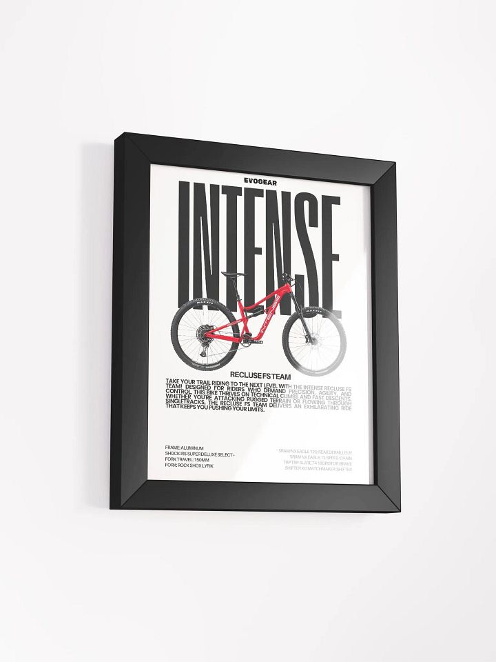 Intense Recluse FS Team Frame product image (9)