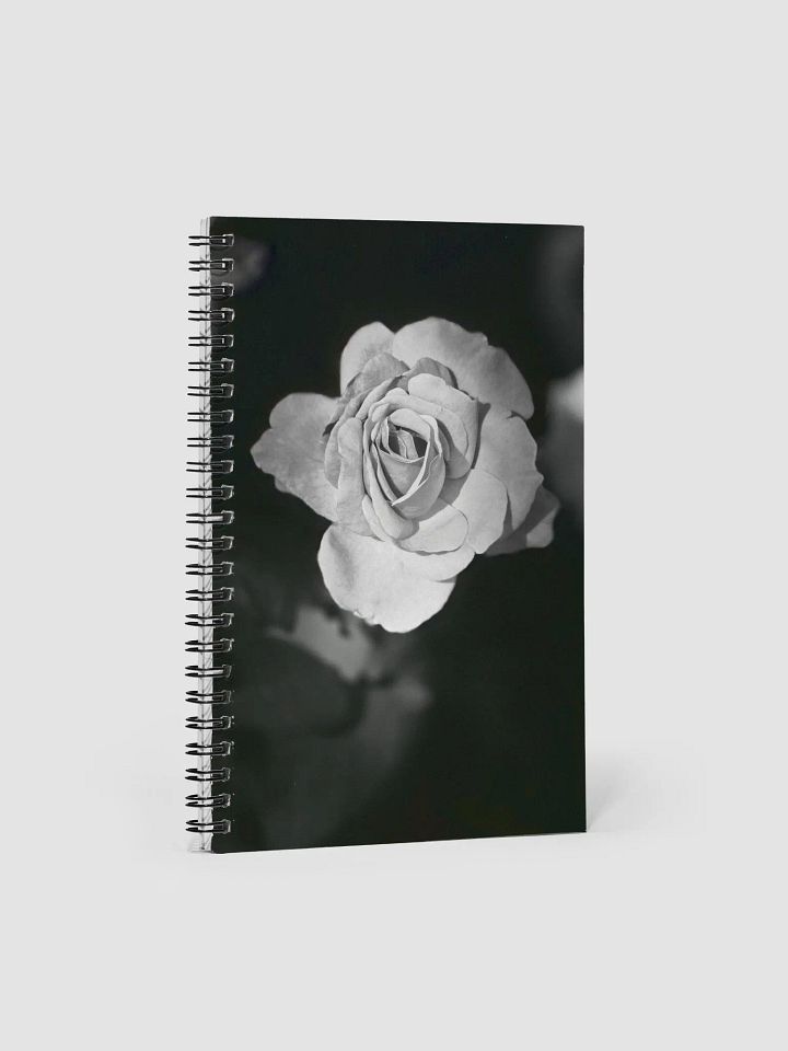 Journal product image (2)