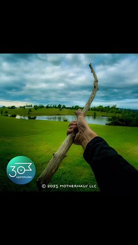 This was today’s walking stick, although given its shorter size, it’s more of a gesture stick. 

A walking stick makes your d...