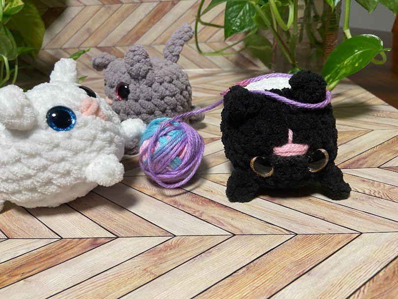 Kitten product image (2)