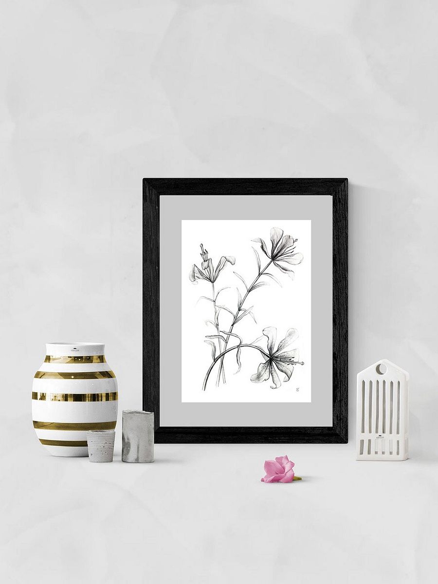 Lily Botanical Drawing Poster - Wild Elegant Flowers product image (7)