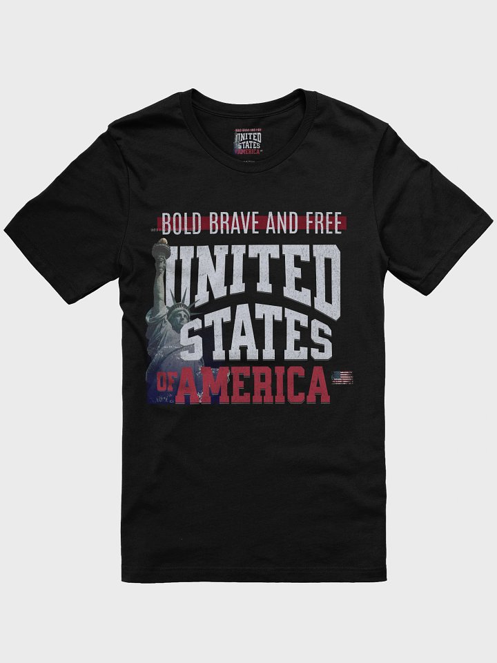 Bold, Brave & Free USA Tee product image (2)