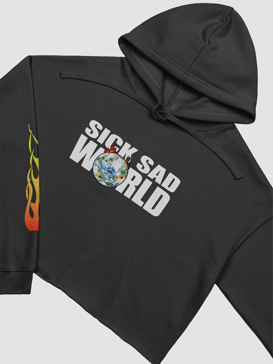 SickSadWorld Flame Crop Hoodie product image (3)