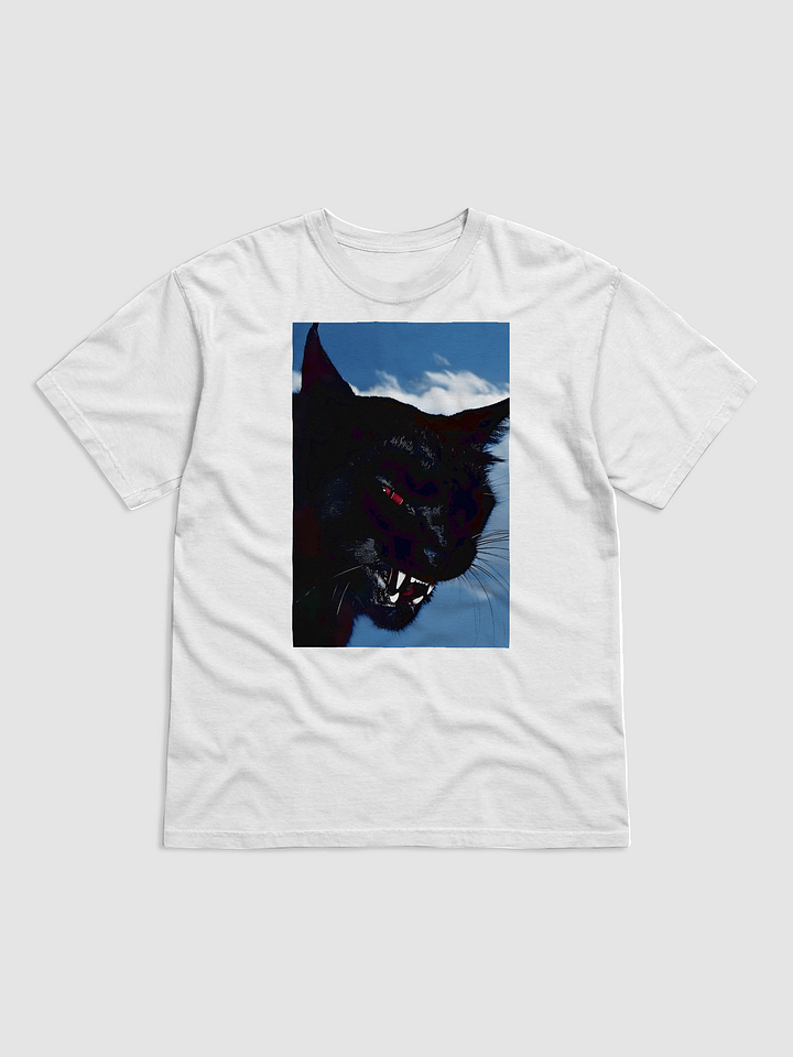 gnarly black cat tee product image (1)