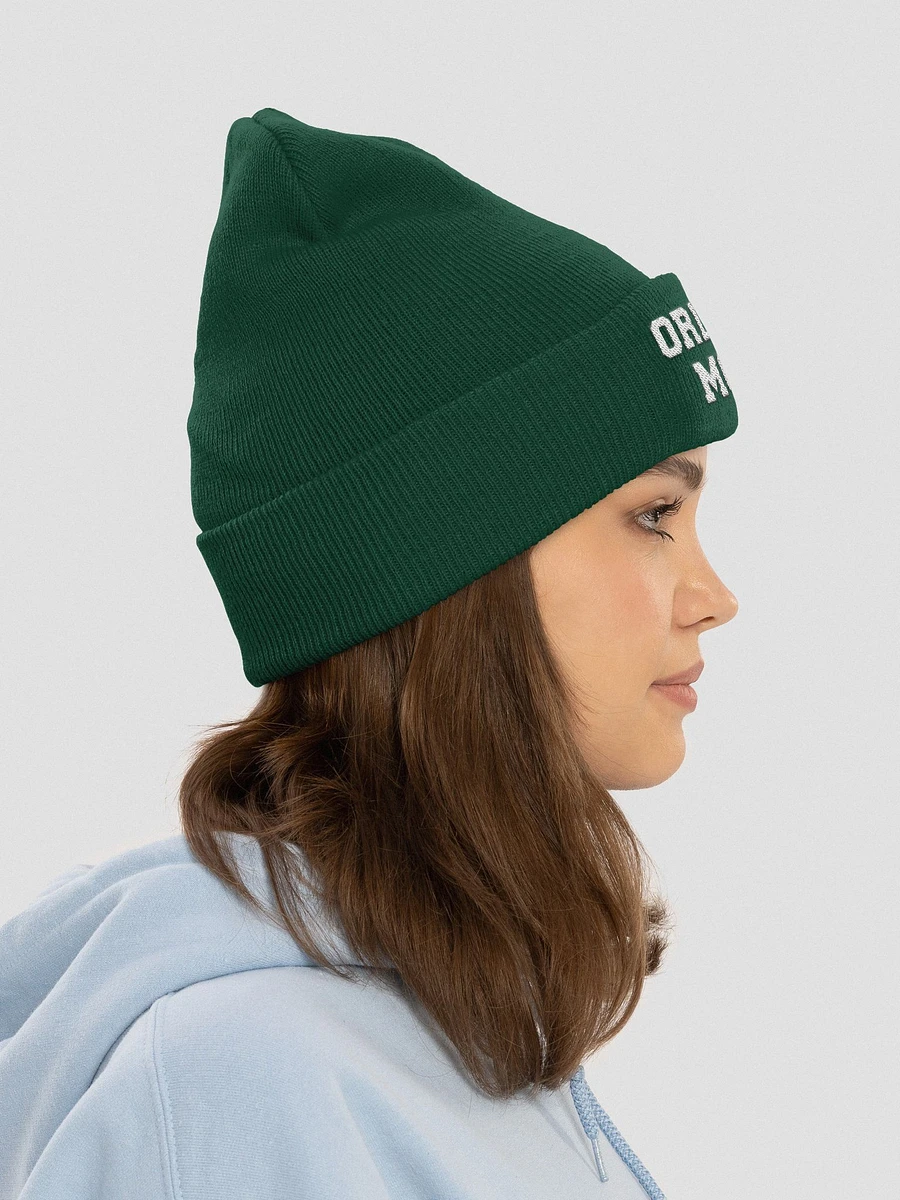 Ordinary Human embroidered beanie product image (30)
