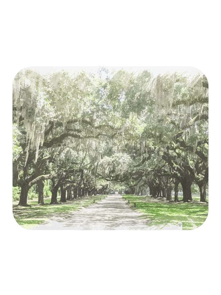 Avenue of the Oaks, Boone Hall Mousepad product image (1)