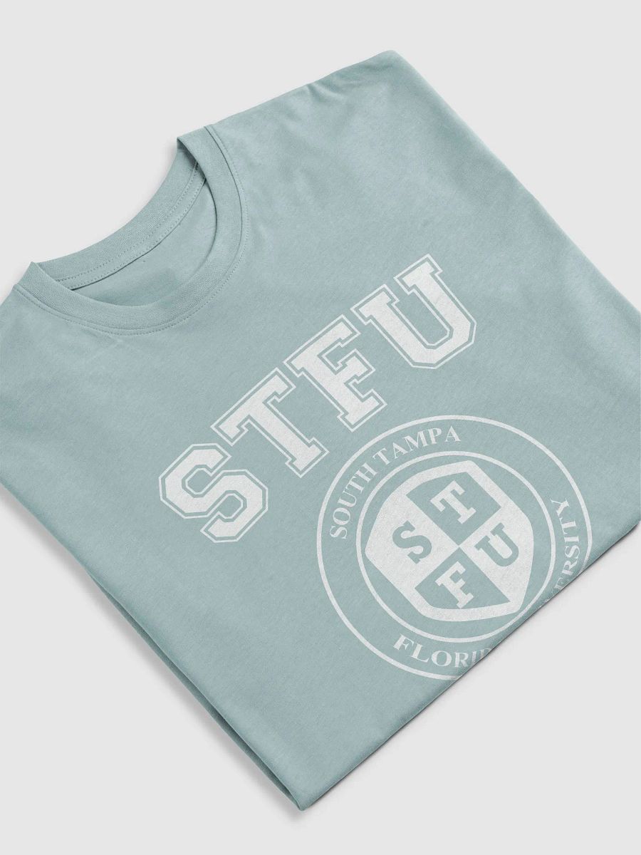STFU Men's Premium Heavyweight Tee / Dark Colors product image (5)