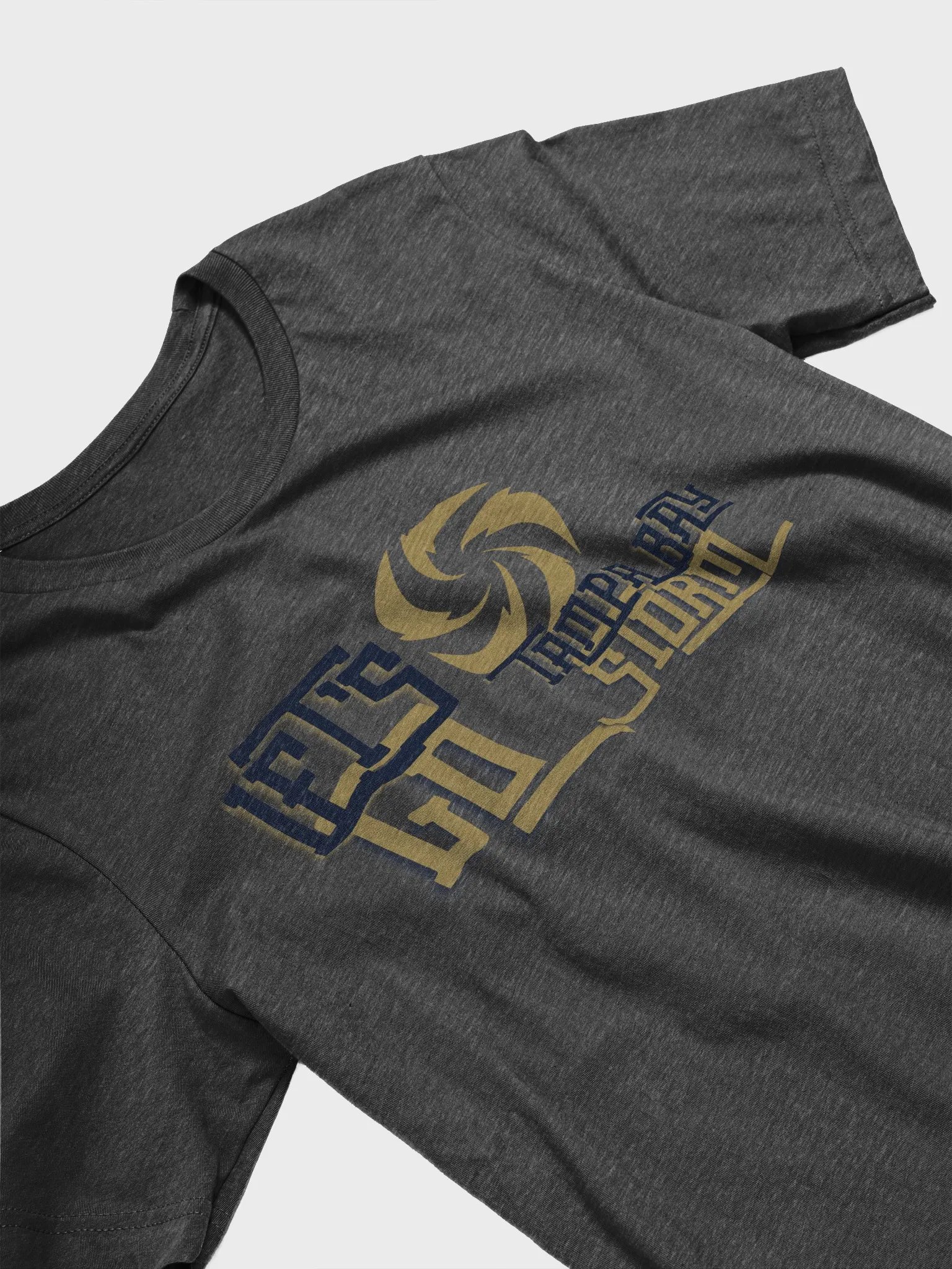 Tampa Bay Storm T-Shirt by Canvas 