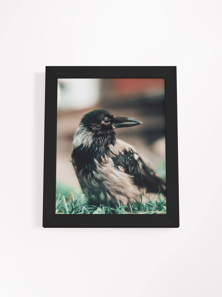 In loving memory of Hafez product image (1)