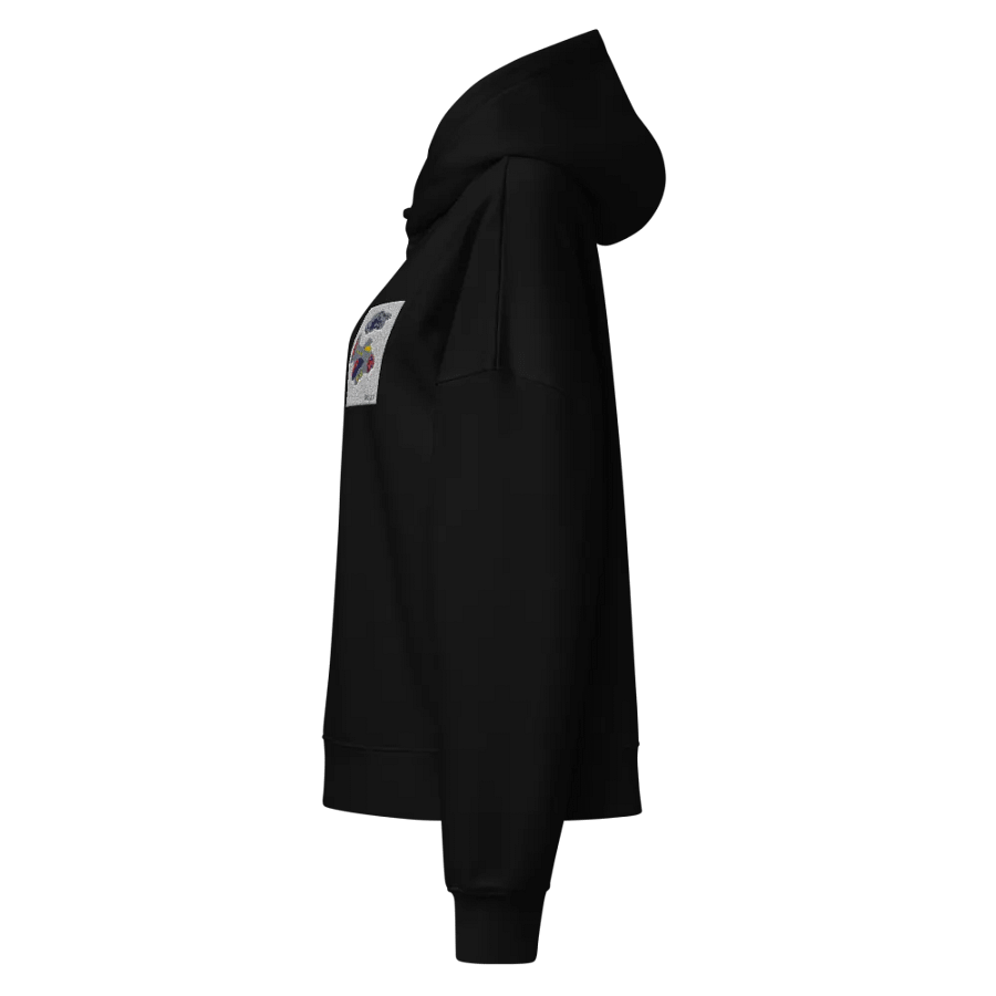 Kid Airplane (Stanley/Stella Women's Organic Hoodie) product image (10)
