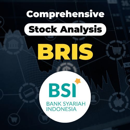 BRIS Comprehensive Stock Analysis product image (1)