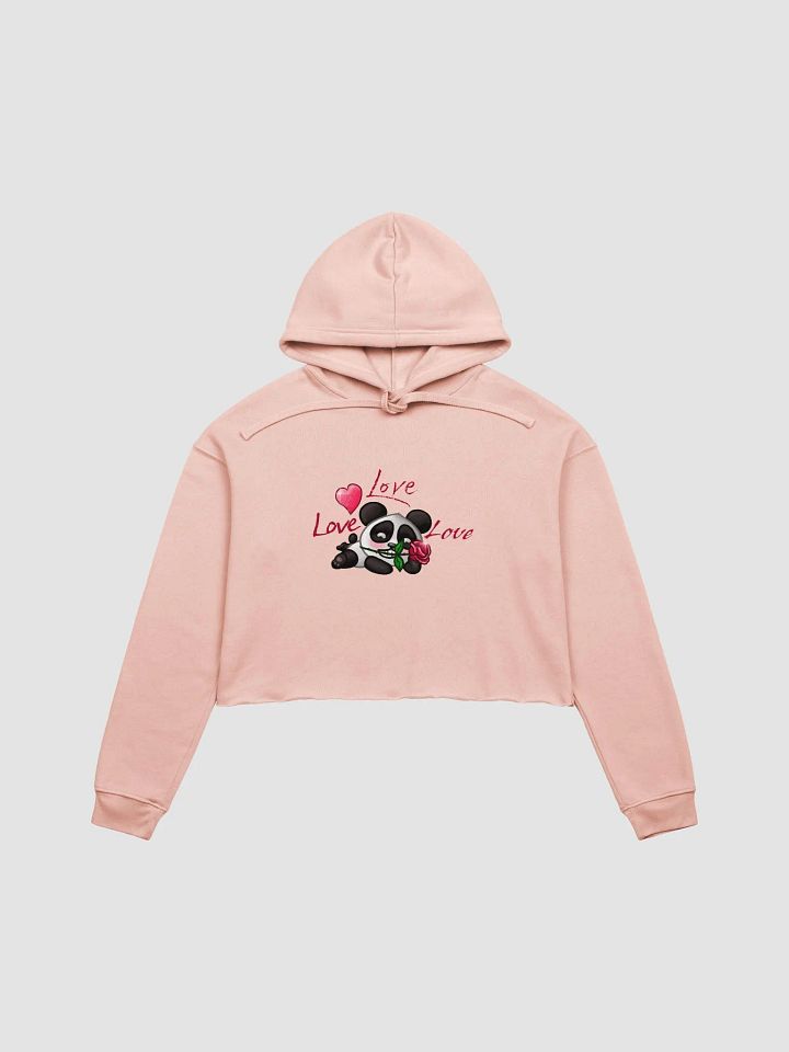 Love Love Love Crop Hoodie product image (2)