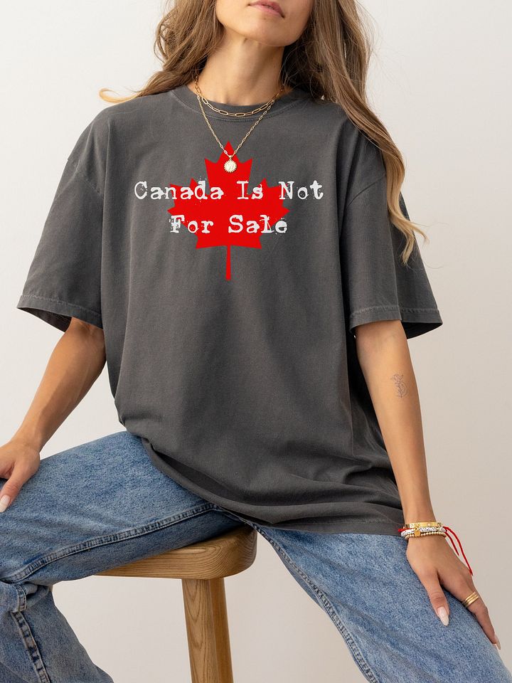Canada Is Not For Sale T Shirt, Canada Is Our Ally Tee product image (1)