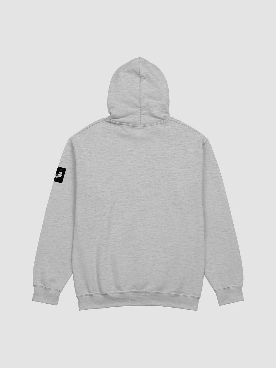 International Movement Hoodie - Sports Gray product image (2)