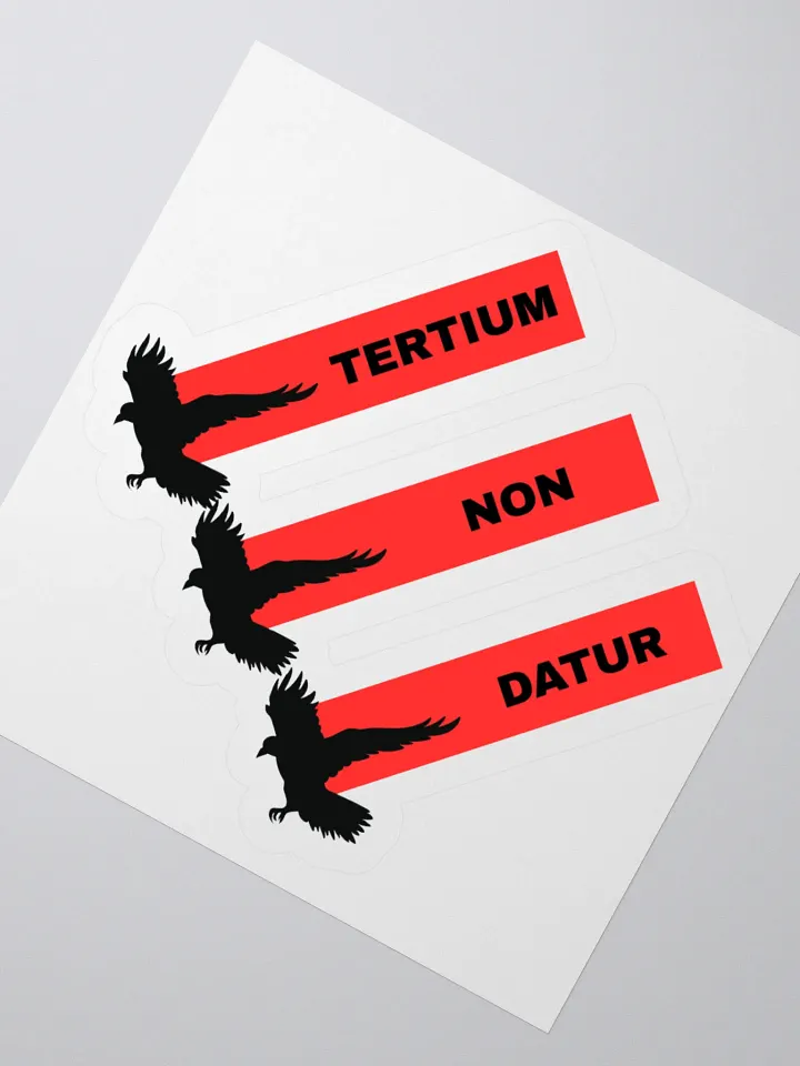 LIMITED - NO THIRD WAY STICKER product image (5)