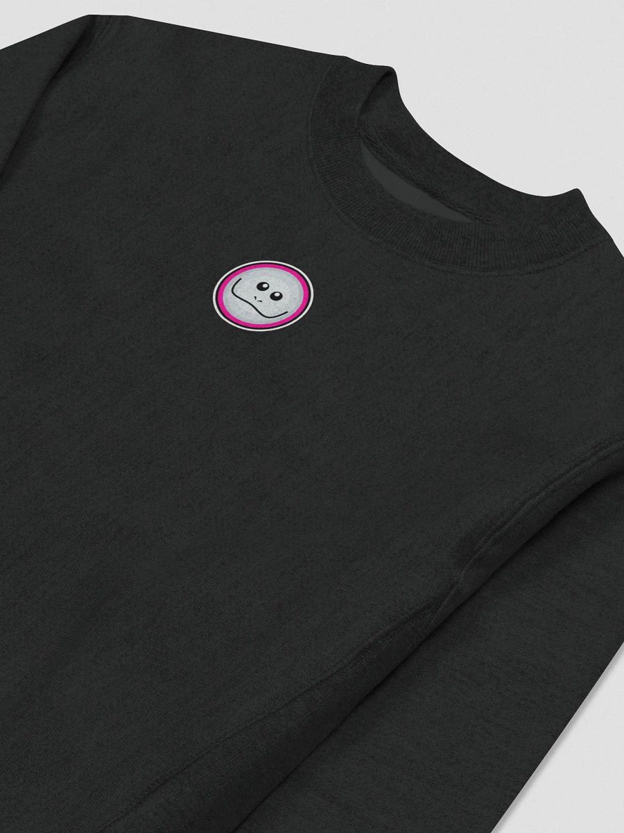 Whalley Logo Champion Sweater product image (5)
