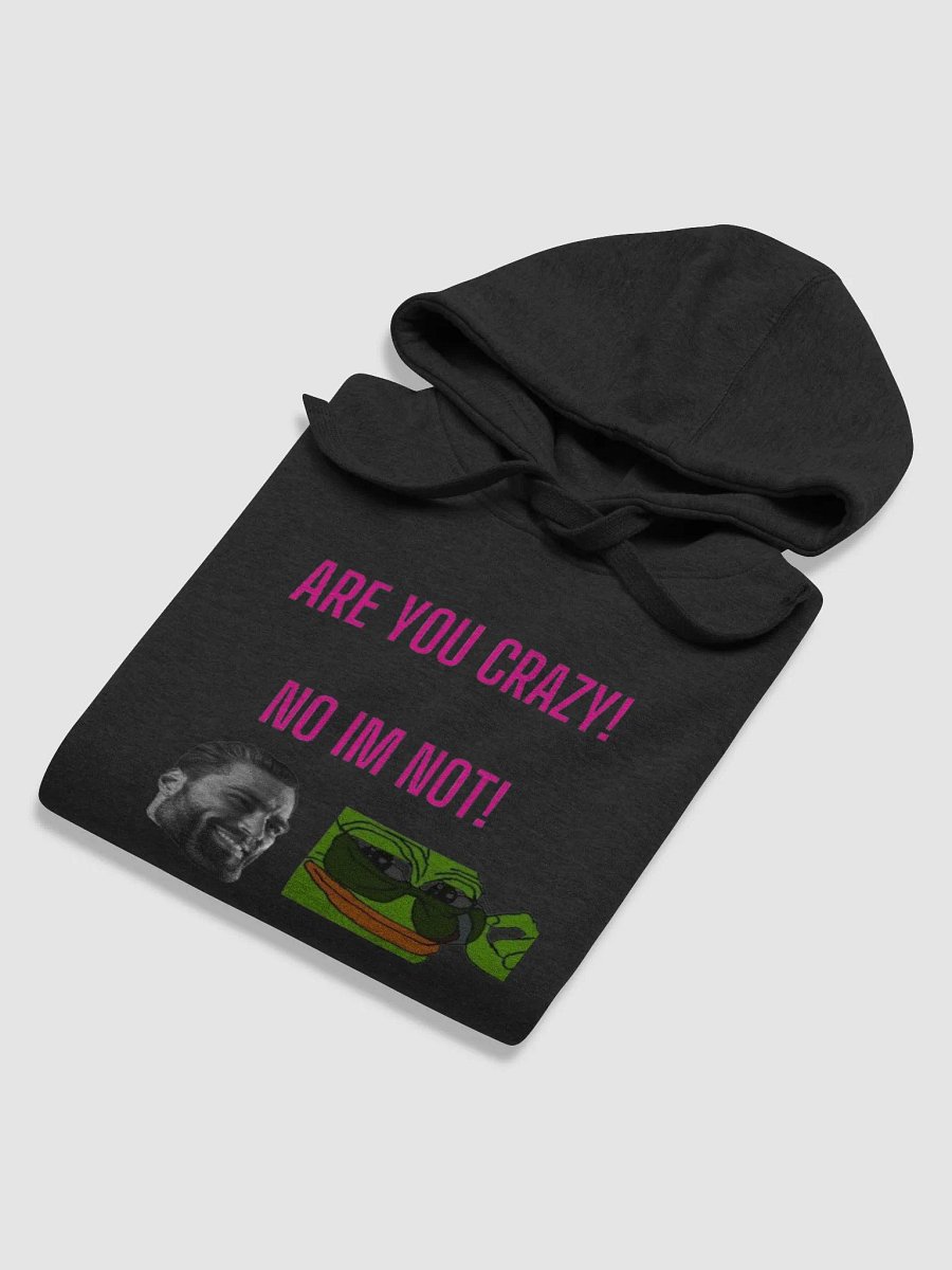 are you crazy no im not product image (38)