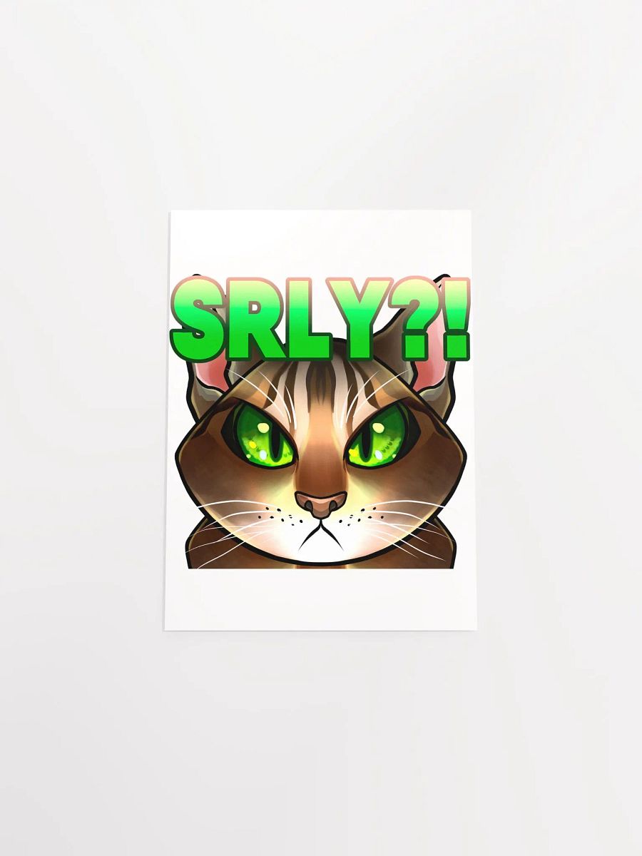 SRLY?! Poster product image (55)