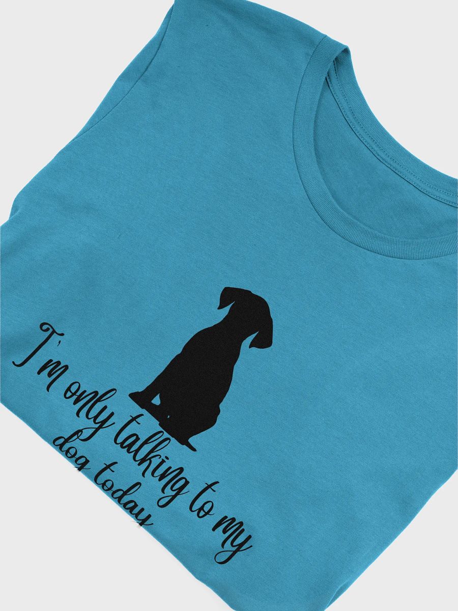 I'm only talking to my dog today t-shirt product image (5)