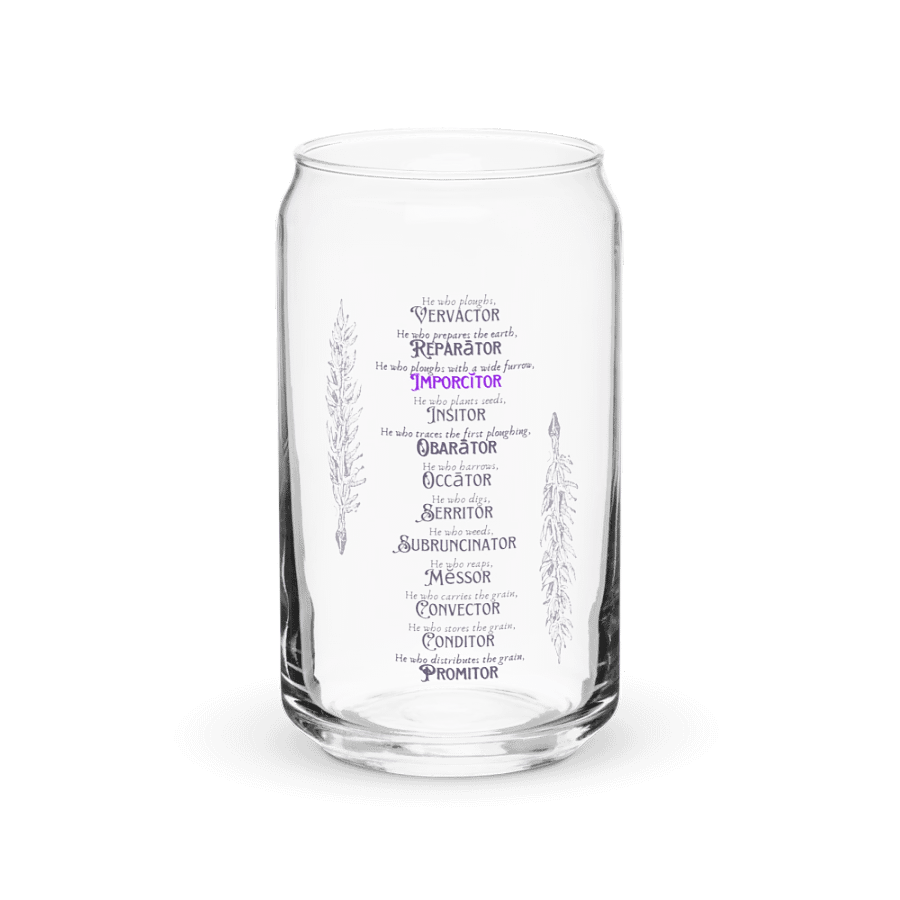 Glass Canopia: A Trendy Twist on Glassware product image (2)