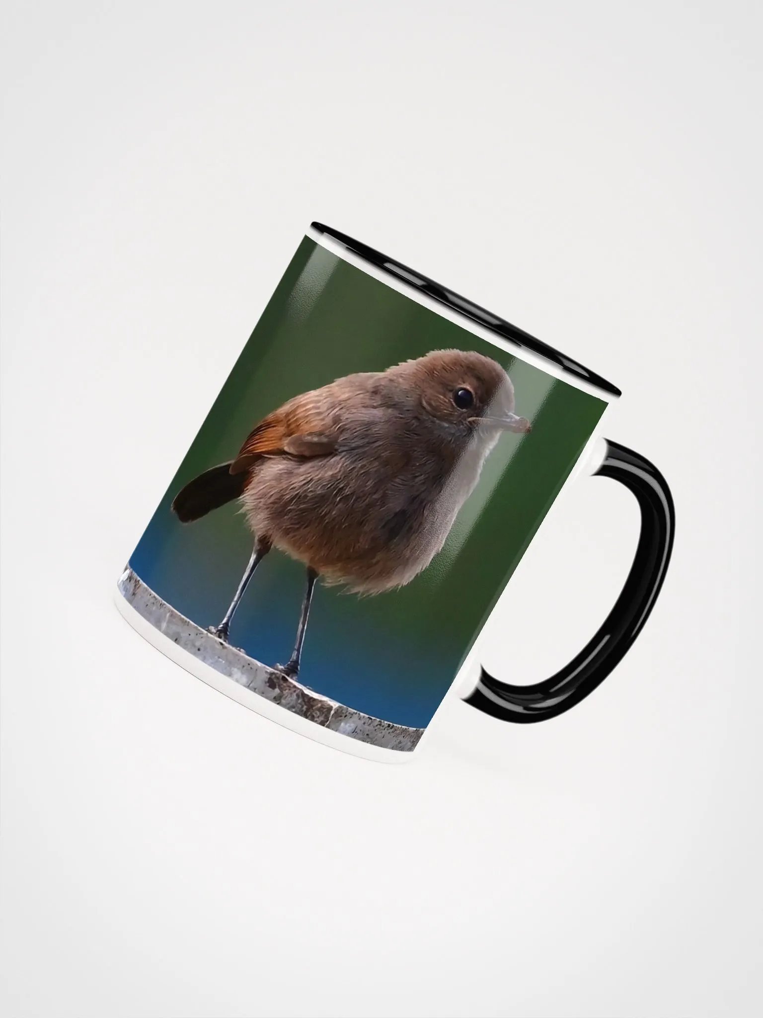IUCAA Birds MUG product image (4)