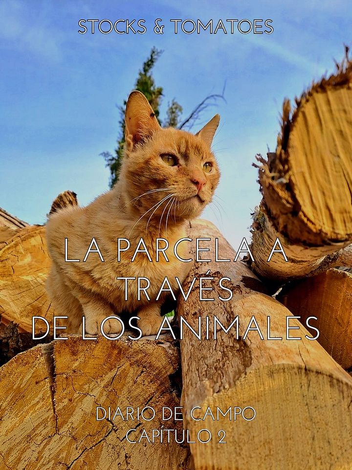 Diario de campo capítulo 2 - La parcela a través de los animales product image (1)