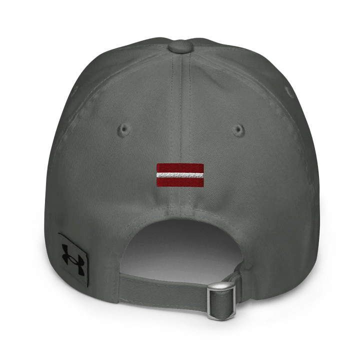 RS Logo - Dad Hat product image (2)