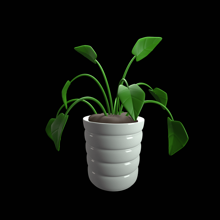 Plant product image (1)